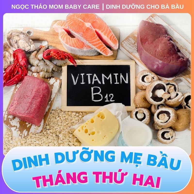 Vitamin B12 trong dinh dưỡng thai kỳ tháng thứ 2